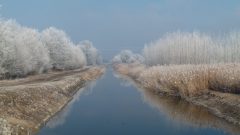 DunavölgyFőcsatorna_télen-scaled